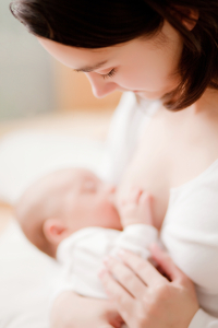 shutterstock_55529044