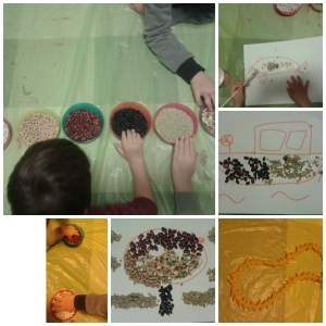 Laboratorio Legumi 1