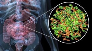 microbiota-intestinale-300x169